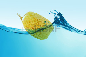 36074655-natural-soft-sponge-in-water